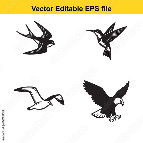  vector illustration of a woman sitting and tying her shoe laces on a white background