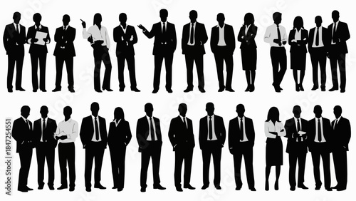 Diverse group of business professionals standing in formation.