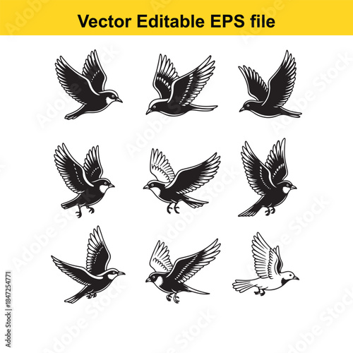  vector illustration of a man washing hair with a handheld showerhead isolated on white background