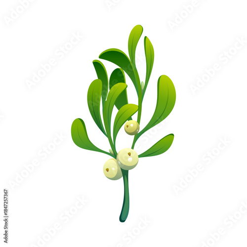 Merry Christmas mistletoe twig cartoon decoration. Happy New Year party floral element, merry Christmas holiday isolated vector mistletoe twig and berries. Xmas festive plant decoration