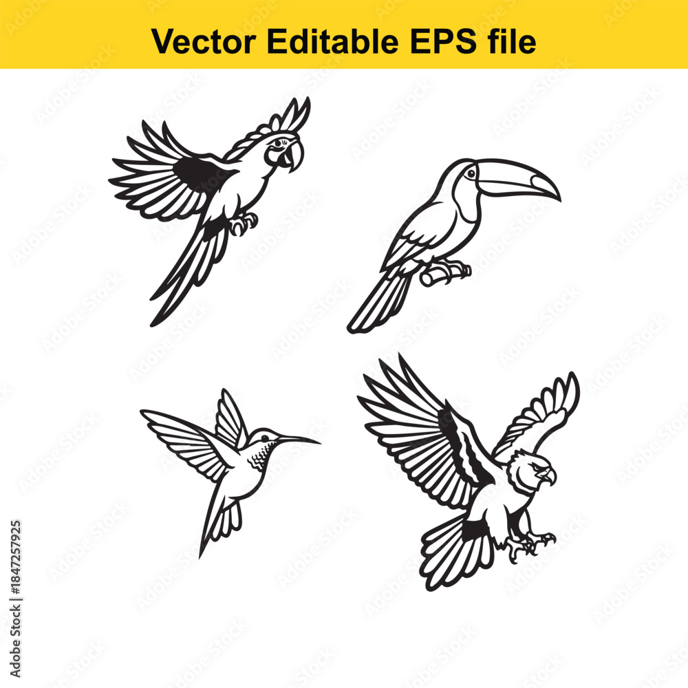 Fototapeta premium vector illustration of four tropical birds in editable eps format for design