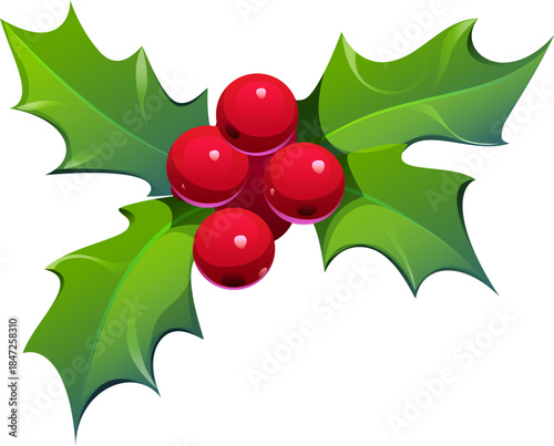 Christmas holiday holly leaf and berry cartoon decoration. Happy New Year object, winter celebration isolated vector plant decoration. Merry Christmas holiday holly leaves with four red berries