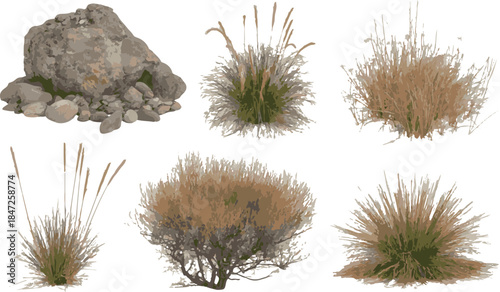 Collection of natural elements rock and dry grass bushes on transparent background