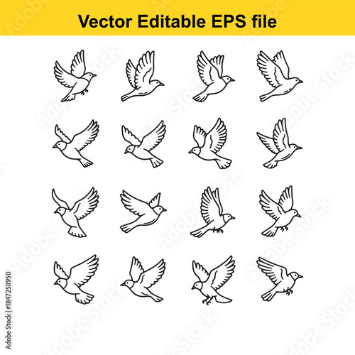  collection of various flying bird line art illustrations in different poses vector