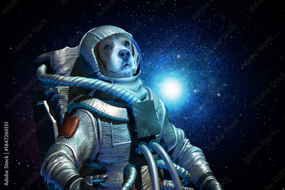 Fototapeta premium Dog astronaut wearing special suit in space