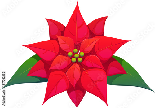 Christmas holiday cartoon poinsettia flower decoration. Happy New Year celebration, merry Christmas holiday poinsettia red flower and leaves vector element. Xmas party isolated plant decoration