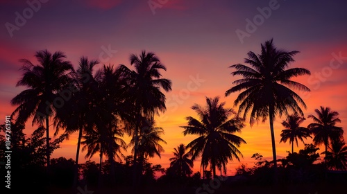Vibrant Sunset Over Tropical Palm Trees Silhouette.