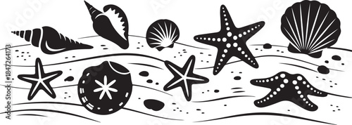 Collection of ocean shells starfish and sand dollars on beach background