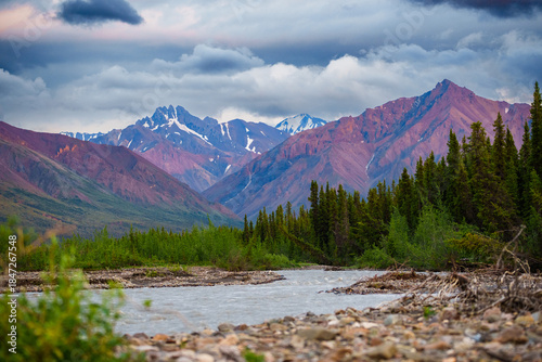 Denali National Park summer landscape mountain view in Alaska