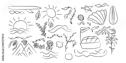 A collection of hand-drawn desert landscape and seashell illustrations