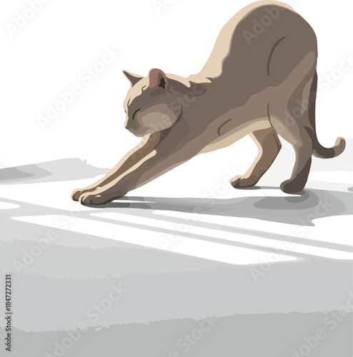 Brown Cat Stretching on a White Background with Soft Shadows