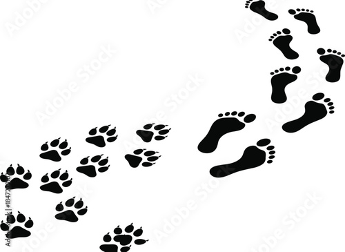 Bear footprint, human track, black silhouette, wildlife trace, barefoot print, vector icon, nature pattern, animal trail, minimal design, outdoor theme