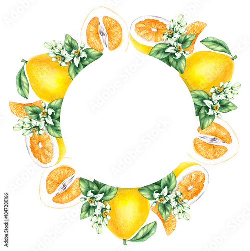 Pomelo citrus fruit watercolor hand painted. Pomelo wreath of flowers and citrus for wedding, holiday decor and food packaging. Citrus fruit on white background