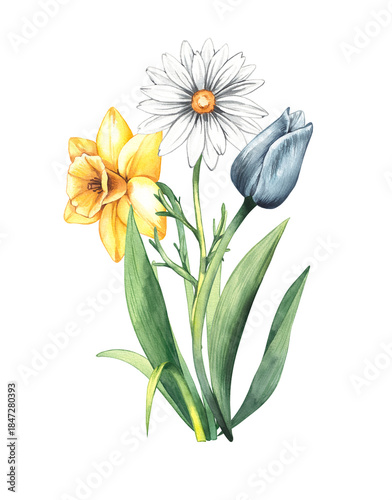 Watercolor spring Easter blooming flower bouquet. Hand-painted illustration of daffodil and tulip. Botanical bouquet for wedding invitations, festivals, or postcards.