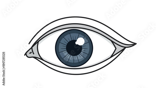 A detailed illustration of a human eye with a blue iris and visible pupil.