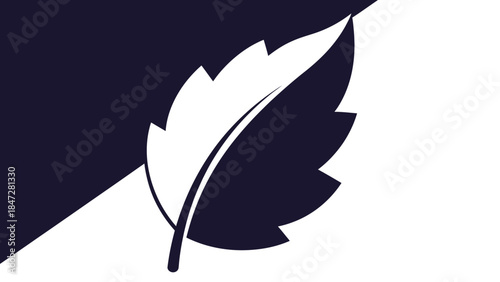 A stylized graphic design of a leaf, split diagonally in color, with a dark blue and white background creating a contrasting effect.