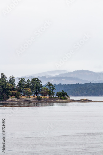 Mist Over Quiet Island Forest: Serene Coastal Landscape With Calm Water and Distant Hills Scene