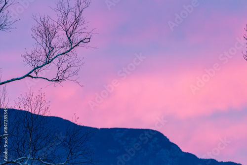 Dusk Sky With Pink Sunset Over Silhouetted Hills And Bare Tree Branches