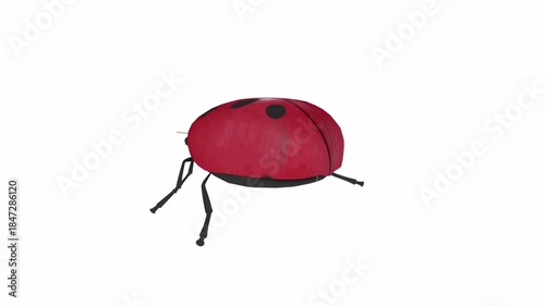 Stylized 3D Ladybug Illustration