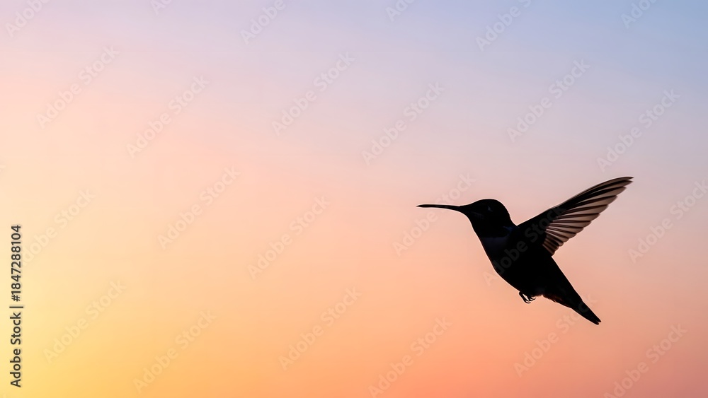 Naklejka premium Silhouette of a hummingbird in flight against a colorful sunset sky