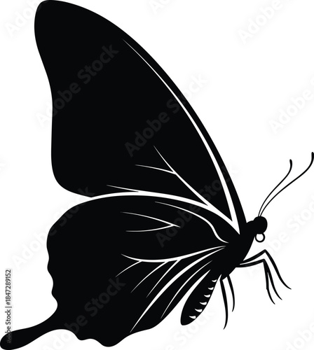 Black Silhouette Vector Illustration of a Stylish Women's Double-Breasted Trench Coat or Peacoat, Representing Winter Fashion and Apparel.