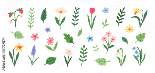 Set of spring and summer flowers, branches, and leaves