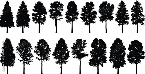 Large Detailed Tree Silhouettes Set, Variety of Conifer and Deciduous Forest Shapes, Nature Element Vector Collection for Landscape Design
