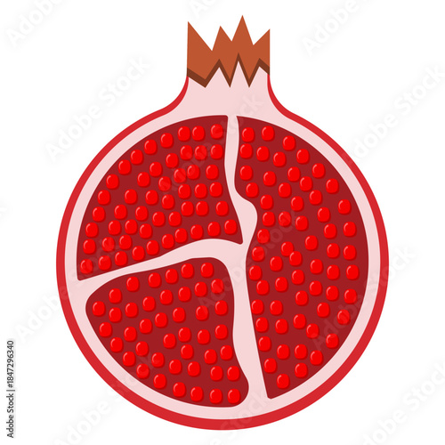 Pomegranate Fruit Illustration