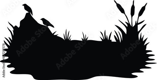 Silhouette of Birds on Rock with Reeds in Nature