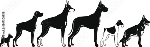 Dog silhouette collection showing multiple breeds standing in profile, domestic canine variety lineup isolated on white background illustration vector design