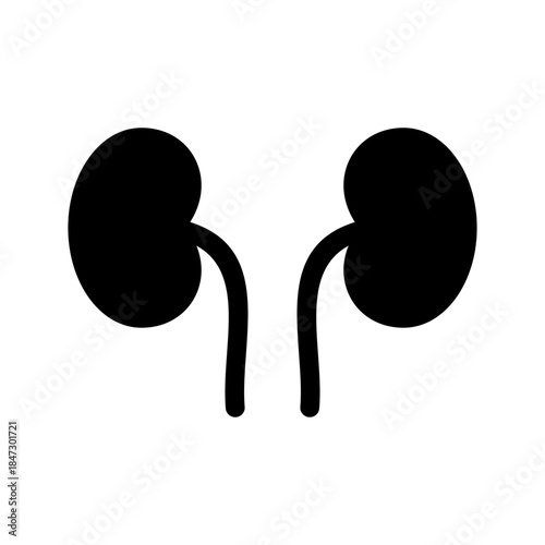 Kidneys Icon Vector Symbol Design Illustration
