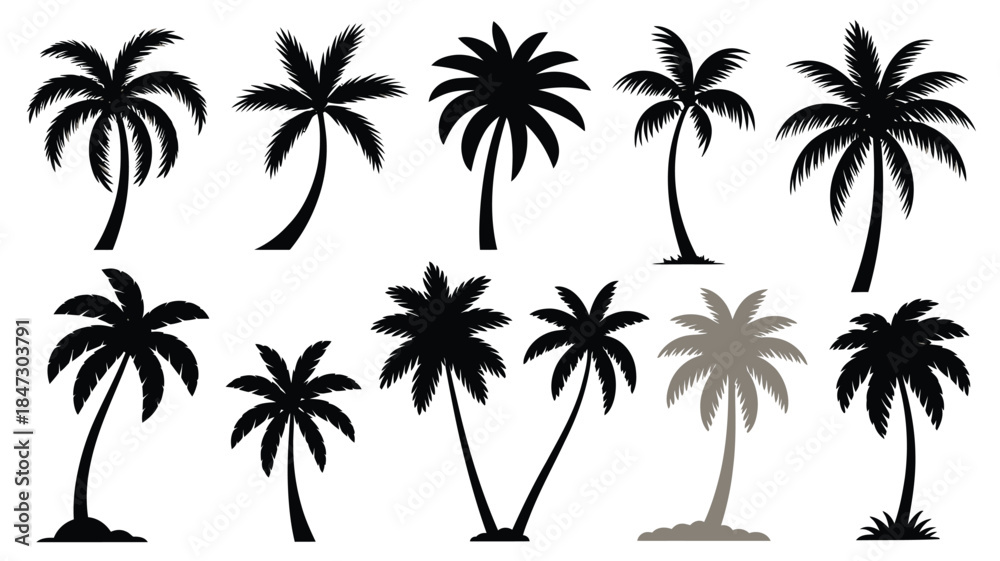 Fototapeta premium A collection of various palm tree silhouettes presented on a clean white space