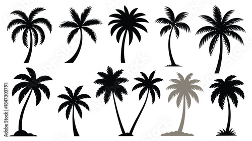 A collection of various palm tree silhouettes presented on a clean white space