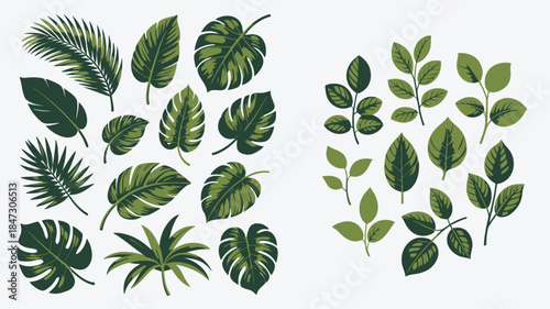 A vibrant assortment of diverse green tropical leaves and lush foliage arranged on a clean white background