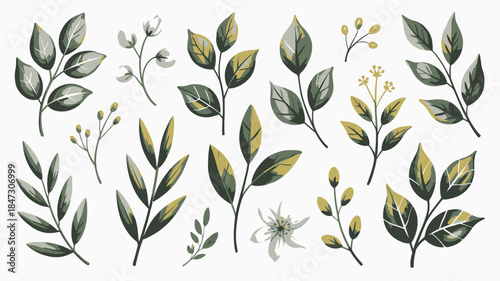 An assortment of varied green and yellow leafy branches and small blossoms on white