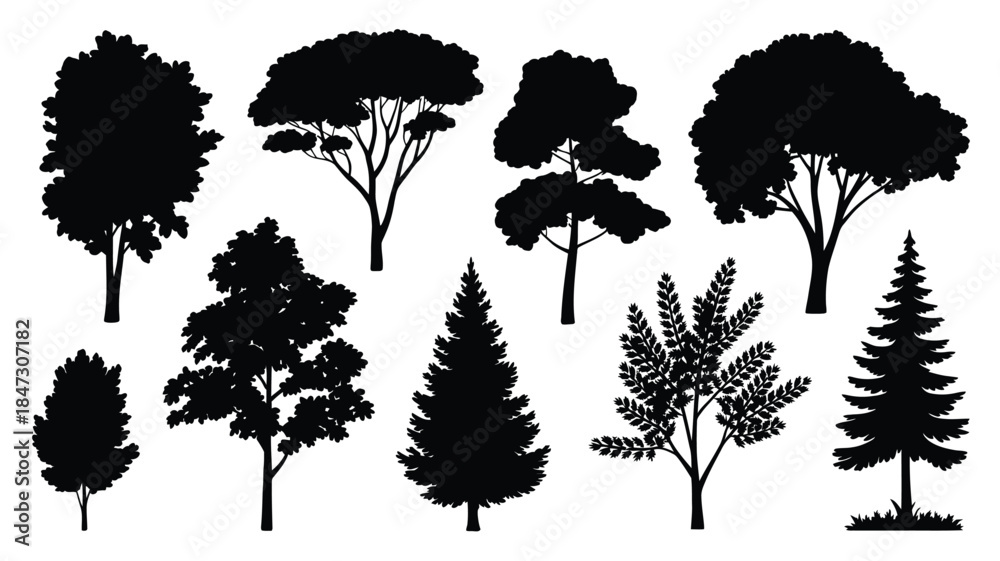 Fototapeta premium Assorted black tree silhouettes showcasing different shapes and foliage types on a white background