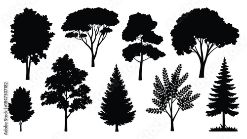 Assorted black tree silhouettes showcasing different shapes and foliage types on a white background