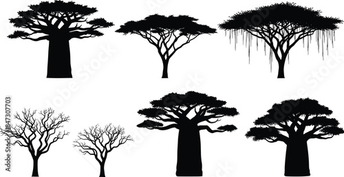 African Baobab and Exotic Tree Silhouettes Vector Set, Savannah Nature Elements Collection with Banyan and Bare Trees for Graphic Design