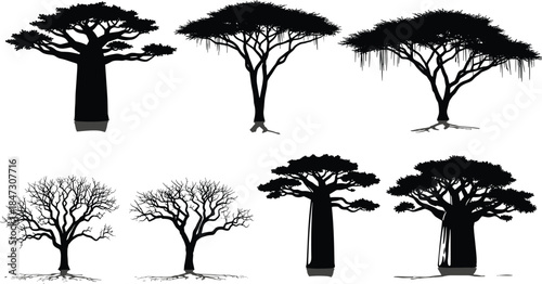 African Baobab Tree Silhouettes Set, Various Black Shapes of Savannah and Dry Season Trees, Nature Vector Collection