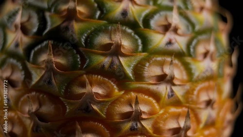 Textured Pineapple Skin Under Side Lighting Reveals Depth and Color Transition
