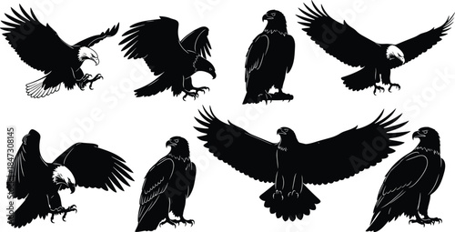 Black Silhouette Bald Eagle Vector Illustration Set with Flying and Perching Poses for Patriotism, Freedom, Nature, Wildlife, and American Emblem Design.