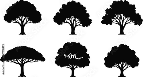 Broad Deciduous Tree Silhouettes Vector Set, Six Wide Canopy Nature Shapes, Large Spreading Tree Graphic for Landscape and Park Design