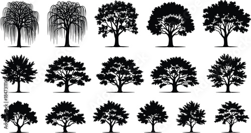 Collection of Diverse Tree Silhouettes Vector: Weeping Willow, Oak, and Maple for Landscape Architecture and Nature Graphics.
