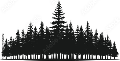 Dense Pine Forest Silhouette Vector: Coniferous Tree Line Landscape for Wilderness, Camping, Nature, and Outdoor Design Backgrounds.