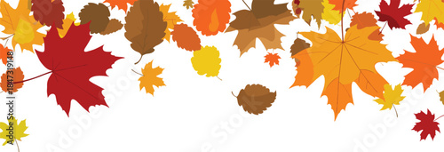 Colorful autumn falling leaves border illustration with vibrant maple foliage, seasonal nature background design for fall decoration and festive themes