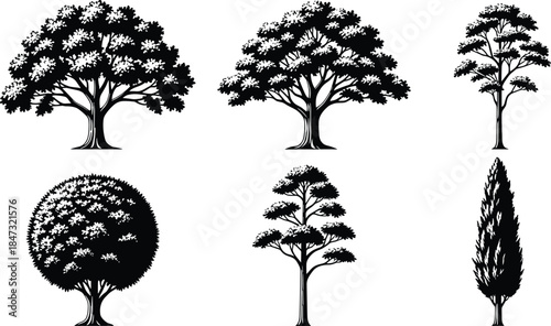 Set of six black and white tree silhouettes, including broadleaf, rounded, and cypress shapes, isolated on white background.