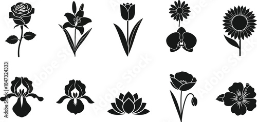 A decorative set of black floral silhouettes and nature elements featuring rose leaves, butterfly icons, and bird patterns for vector art plant design