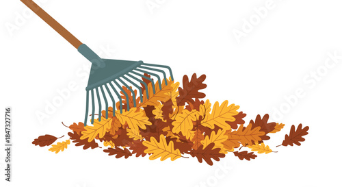 A garden rake gathering a large pile of colorful brown and yellow oak leaves during autumn yard work, in a flat illustration style.