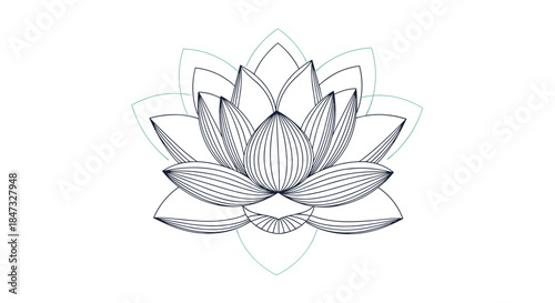 An elegant lotus flower drawn with clean geometric lines, symbolizing purity, spirituality, yoga, and wellness on a white background.
