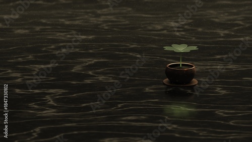 Minimal clover plant on dark water surface with soft reflections
